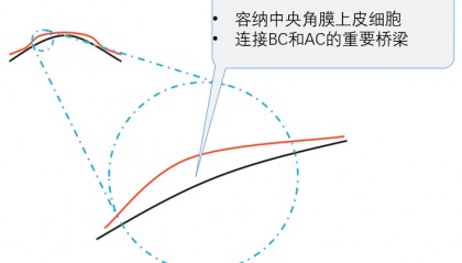 Reverse Curve 反转弧的意义