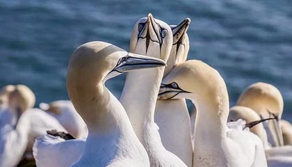 佣金调整申请和两融业务咨询明显增多