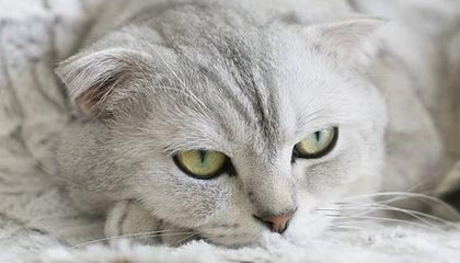 侃股：散户投资者不必太在意券商佣金费率