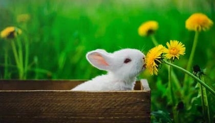 量化私募佣金调查：“万1.2”成行业基准