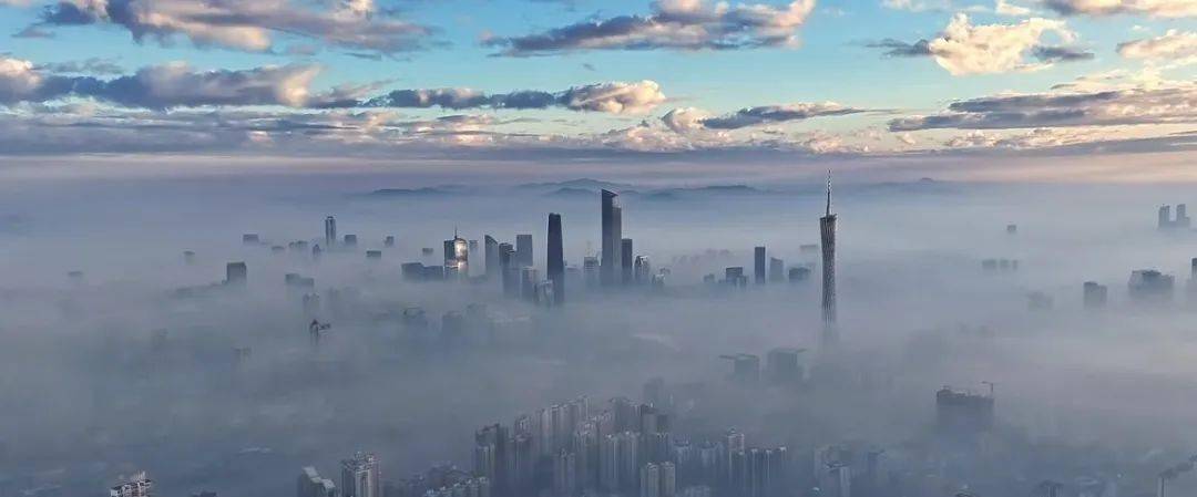 微信扛着腾讯走！Temu扛着拼多多！广州是中国互联网的福地