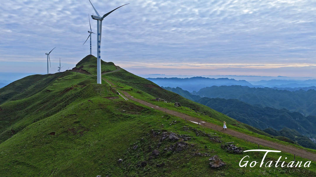 Go with Tatiana｜来贵州当一回“追风者” Explore the charm of windmills in Guizhou