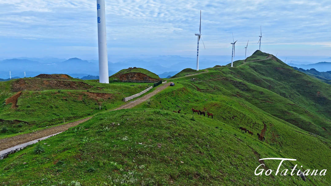 Go with Tatiana｜来贵州当一回“追风者” Explore the charm of windmills in Guizhou