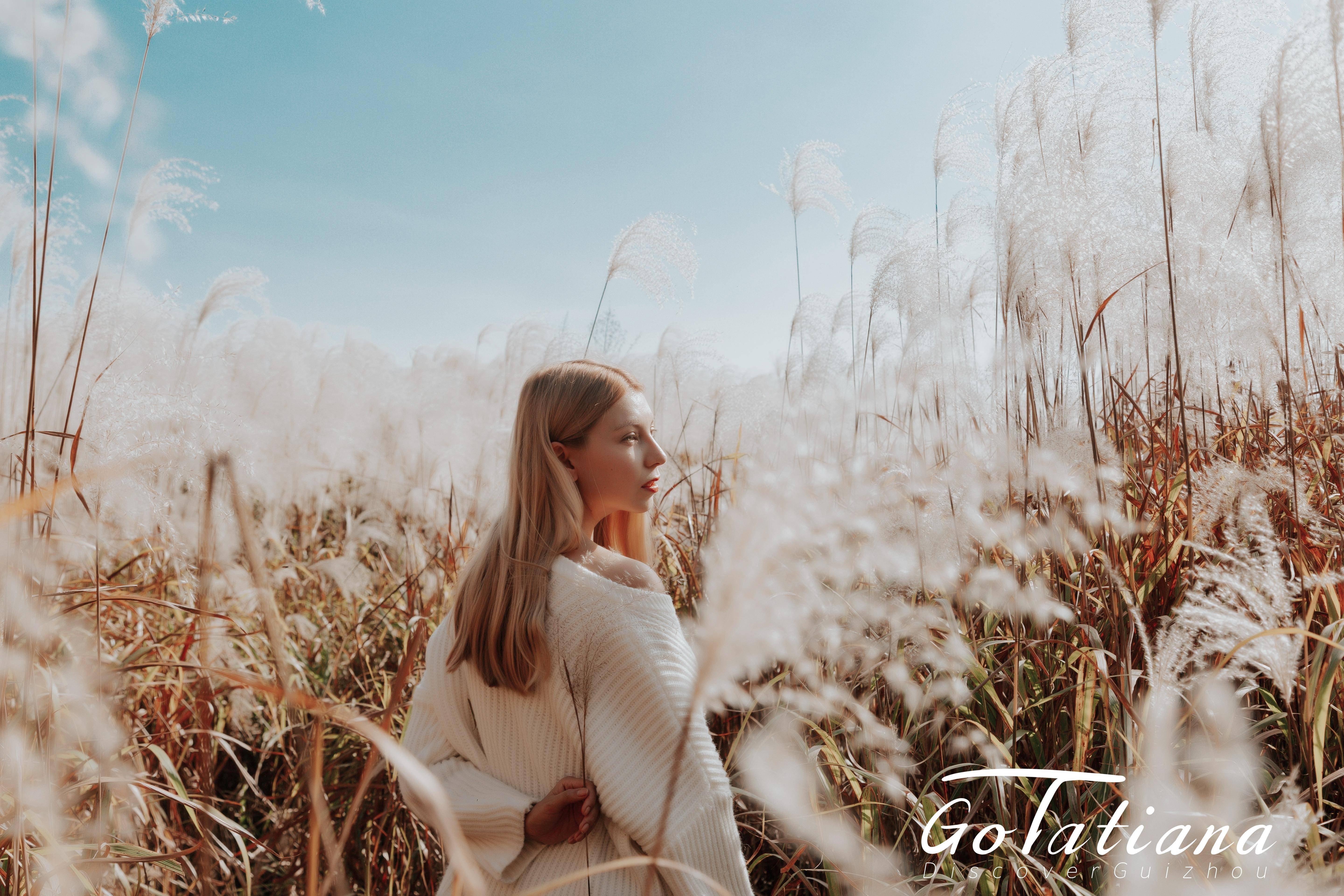 Go with Tatiana｜秋风徐徐、叶落金黄，筑城的秋到了 In Guiyang, the early autumn arrives