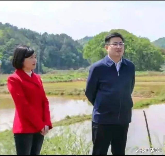 佩奇的故事！