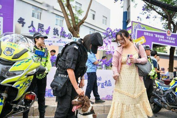 昆明警方：今年蓝花楹开放以来 教场路核心赏花区刑事警情零接报