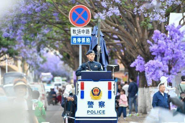 昆明警方：今年蓝花楹开放以来 教场路核心赏花区刑事警情零接报