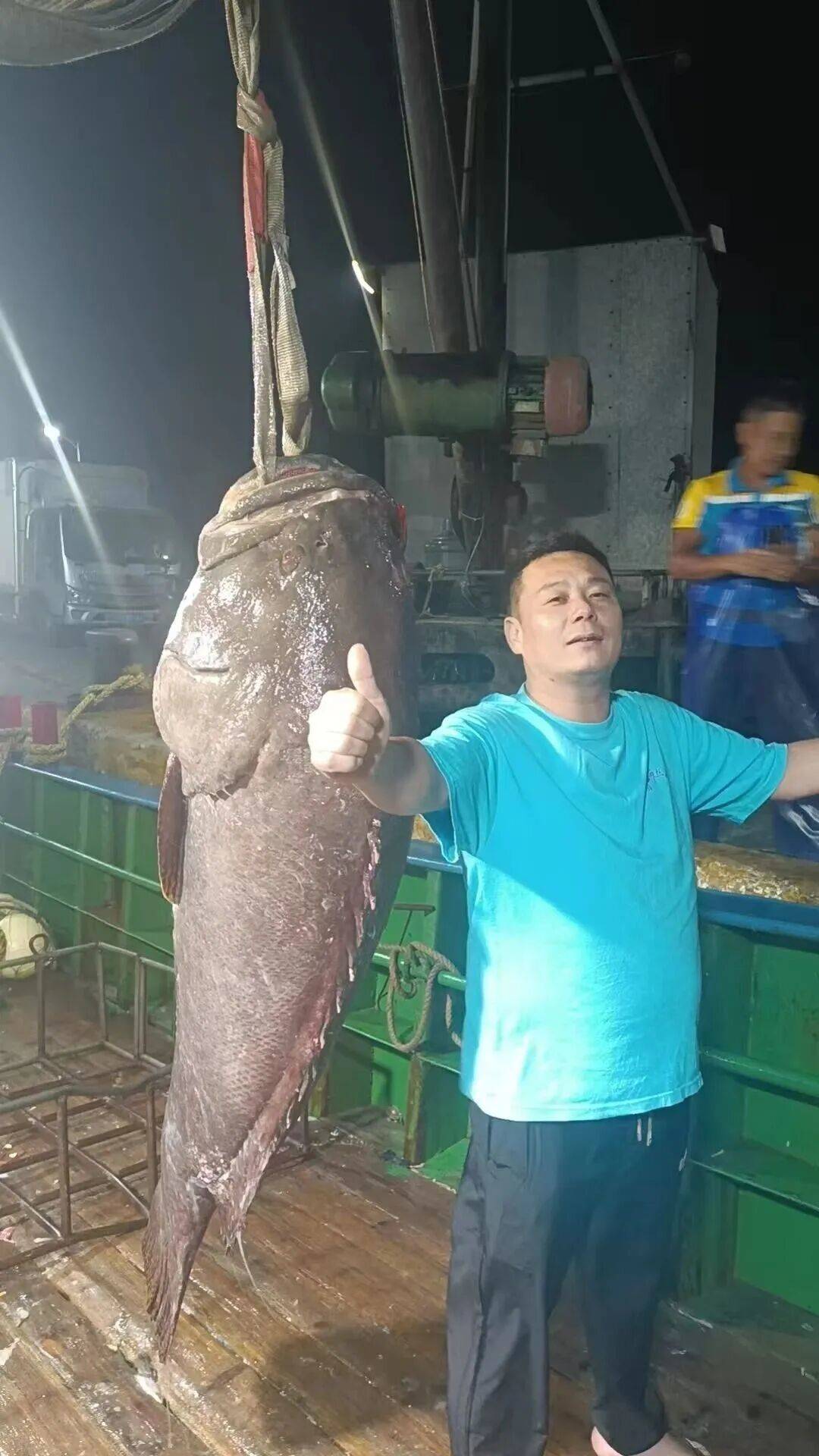 长1.8米、重250斤,福建一渔民捕获一条巨型石斑“鱼王”,卖出了34500元