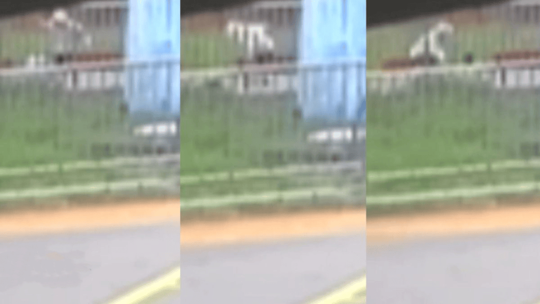 “44秒31刀”,台湾残忍情杀案曝光:多次寻求复合被拒,17岁少年网购长刀当众杀害21岁前女友,已被逮捕