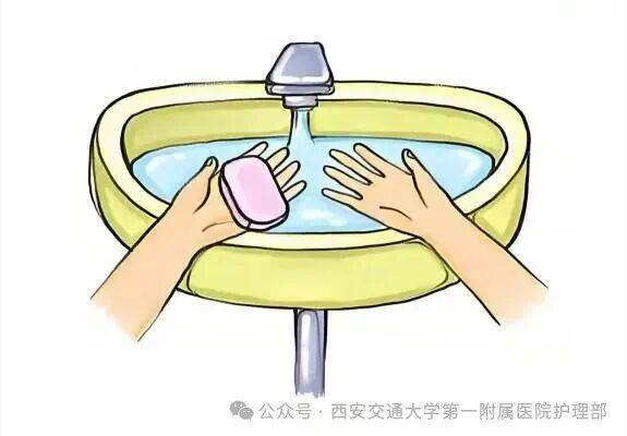 西安多区发现隐翅虫?千万别拍!毒液堪比硫酸