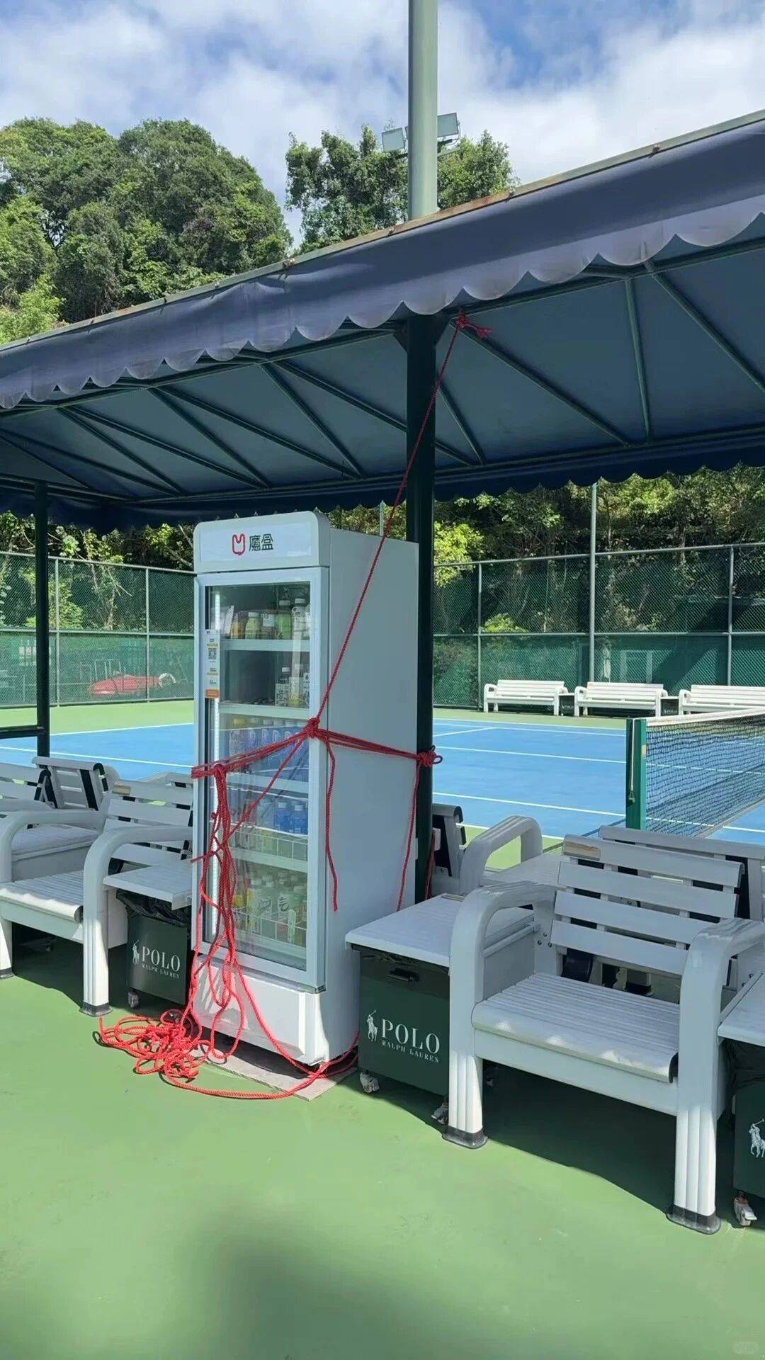 个头大过广东!谨防风王“桦加沙”,深圳人太硬核!这些务必码住