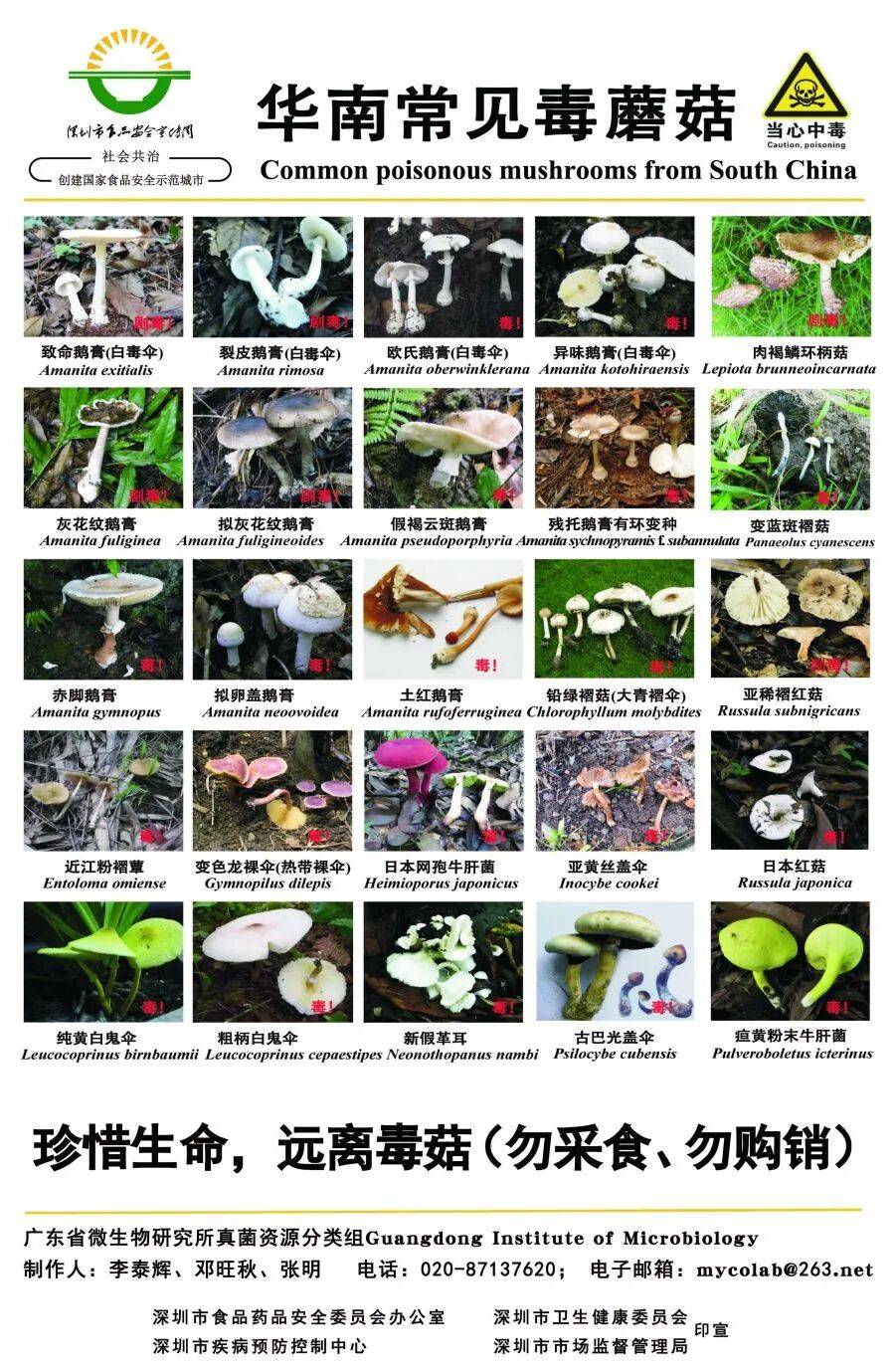 深圳一对夫妻深夜双双入院！一周内12人中招！近期很常见，千万别碰