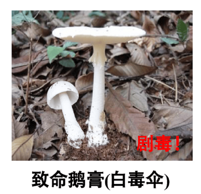 深圳一对夫妻深夜双双入院！一周内12人中招！近期很常见，千万别碰