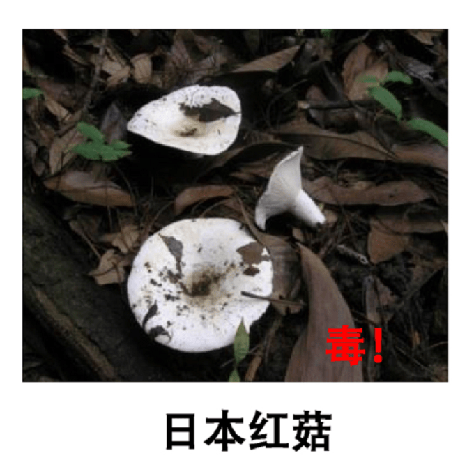 深圳一对夫妻深夜双双入院！一周内12人中招！近期很常见，千万别碰