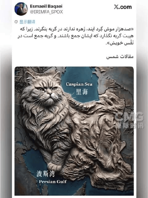 伊朗外交部发言人发帖:十万鼠辈不敢向猫投去一瞥
