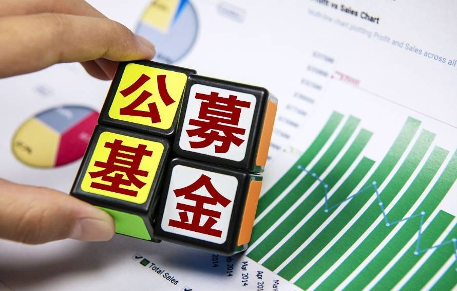 公募证券投资基金(公募证券投资基金销售) 公募证券投资基金(公募证券投资基金销售)